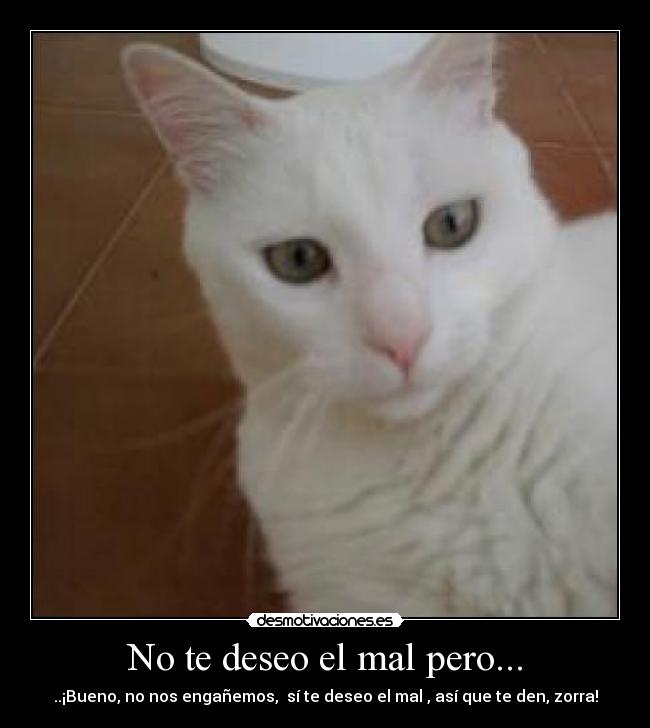 No te deseo el mal pero... -