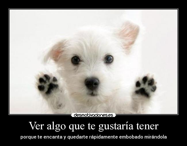 carteles jessy93 desmotivaciones