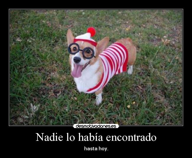 Nadie lo había encontrado - hasta hoy.