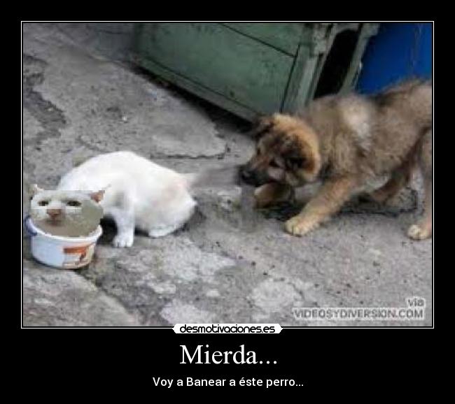 Mierda... - 