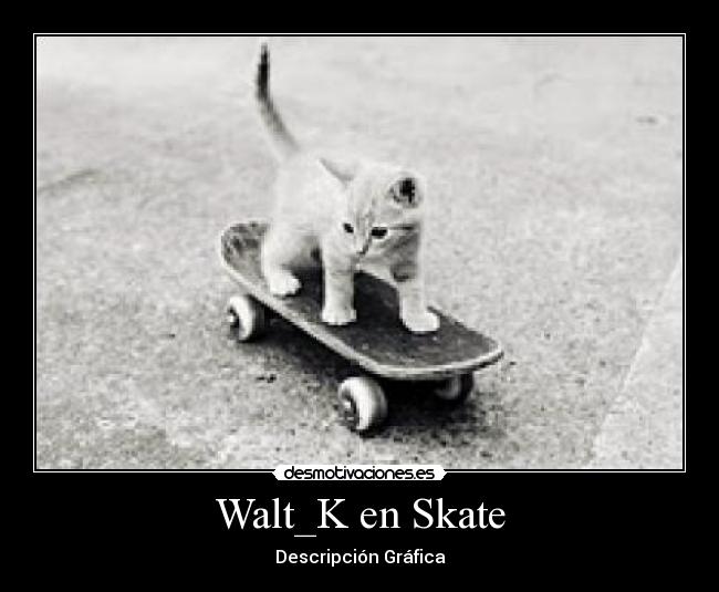 Walt_K en Skate - Descripción Gráfica