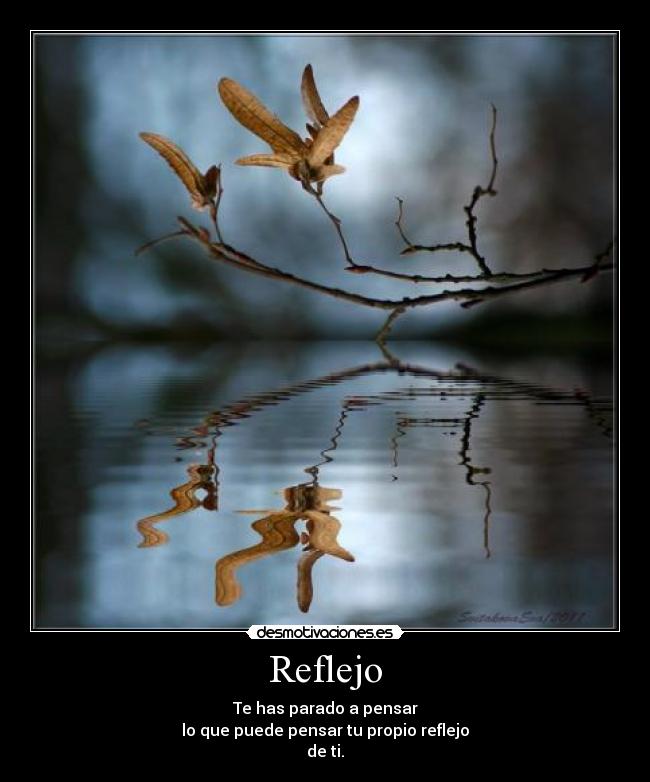 Reflejo - Te has parado a pensar
lo que puede pensar tu propio reflejo
de ti.