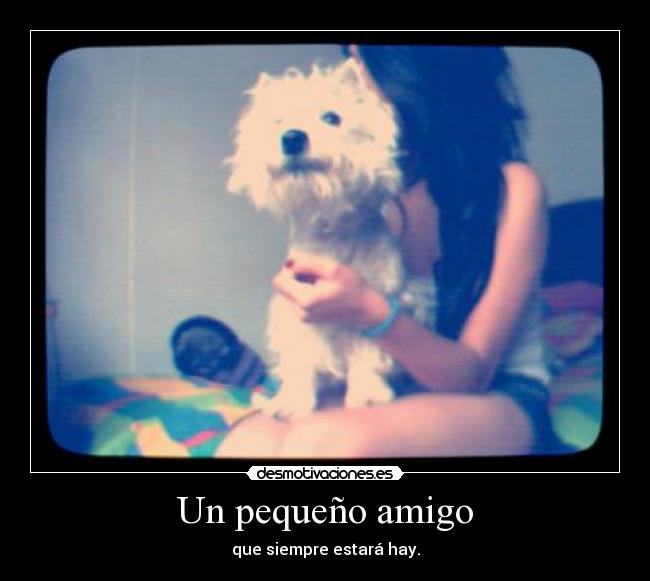Un pequeño amigo - 