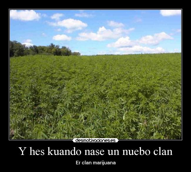 carteles clanmarijuana nuevo clan clanhoygan hey marijuana elprimomarijuan desmotivaciones