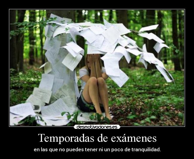 Temporadas de exámenes - en las que no puedes tener ni un poco de tranquilidad.