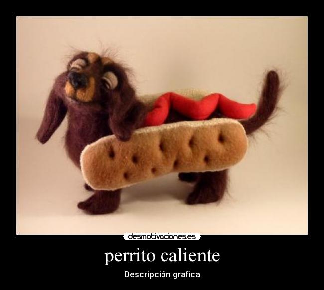 perrito caliente - Descripción grafica