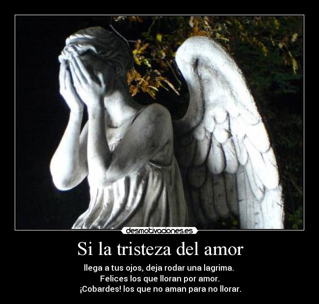 Si la tristeza del amor - llega a tus ojos, deja rodar una lagrima.
Felices los que lloran por amor.
¡Cobardes! los que no aman para no llorar.