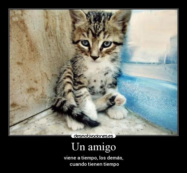 Un amigo -