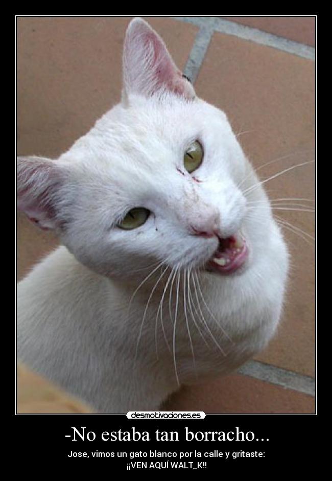 -No estaba tan borracho... -