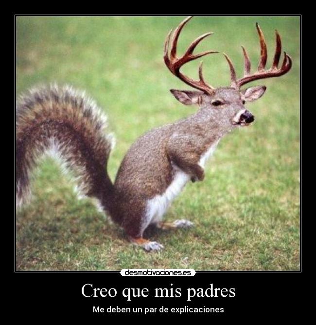 carteles padres las ardillas molan desmotivaciones