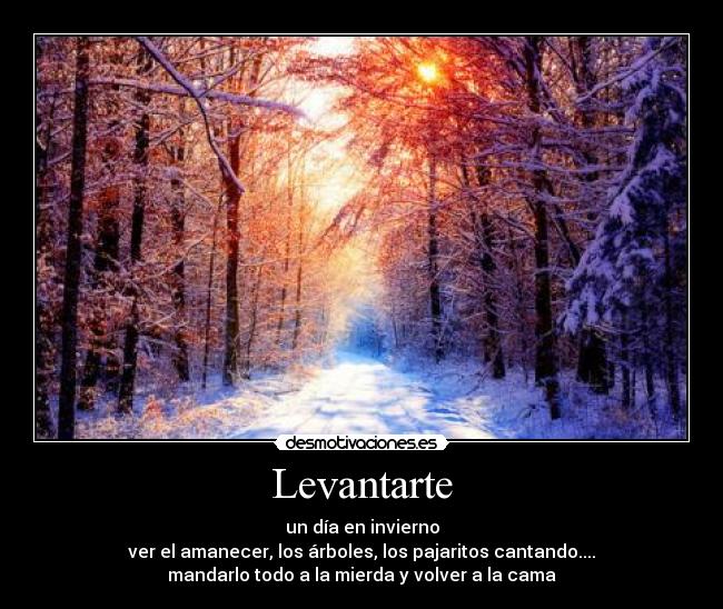 carteles poetico poetico desmotivaciones