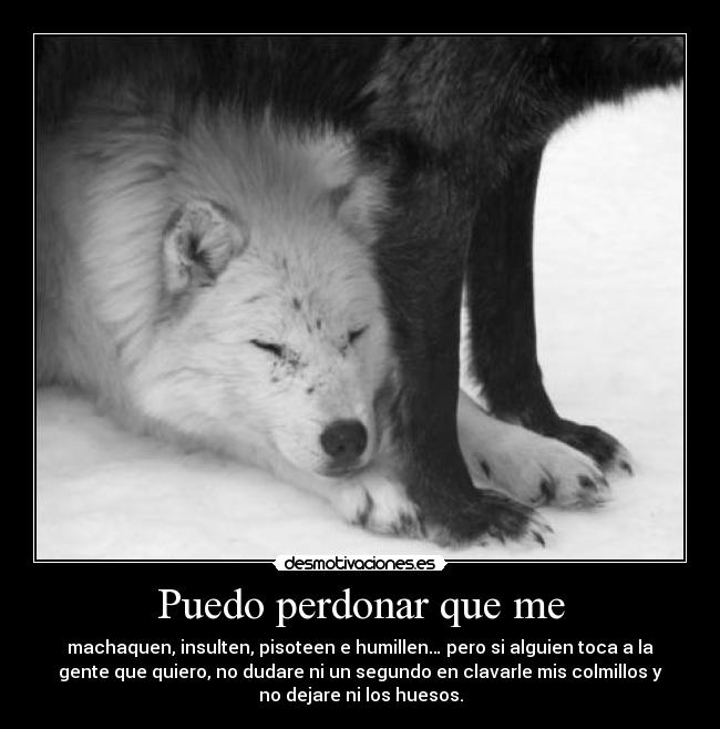 Puedo perdonar que me -