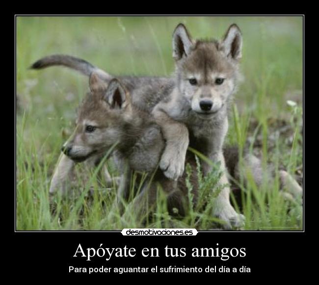 Apóyate en tus amigos -