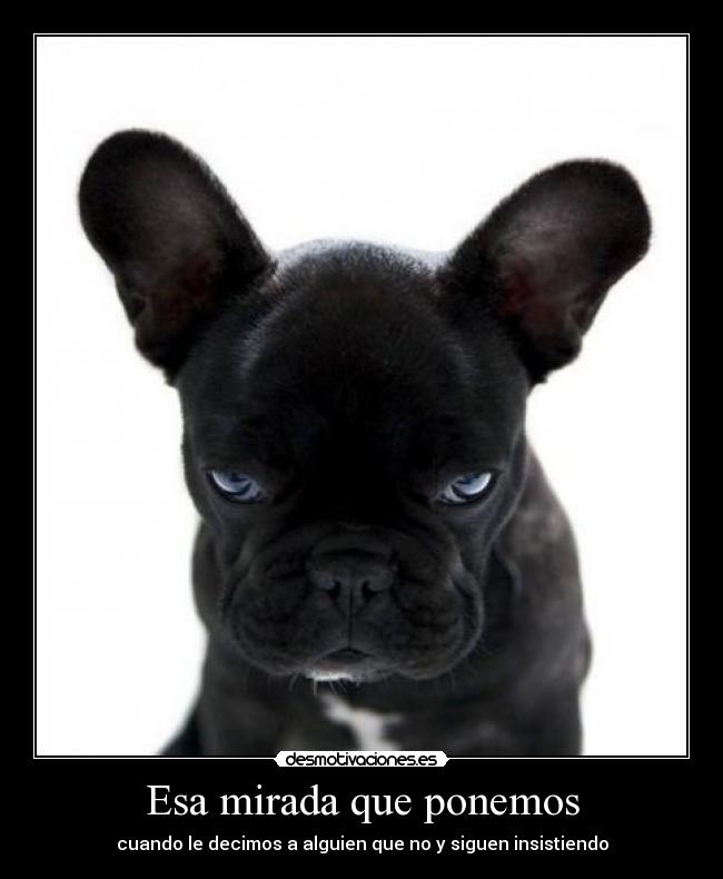 Esa mirada que ponemos -