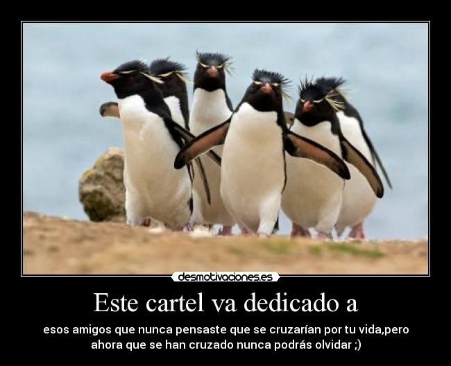 Este cartel va dedicado a -