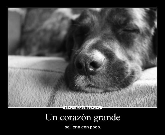 Un corazón grande - se llena con poco.