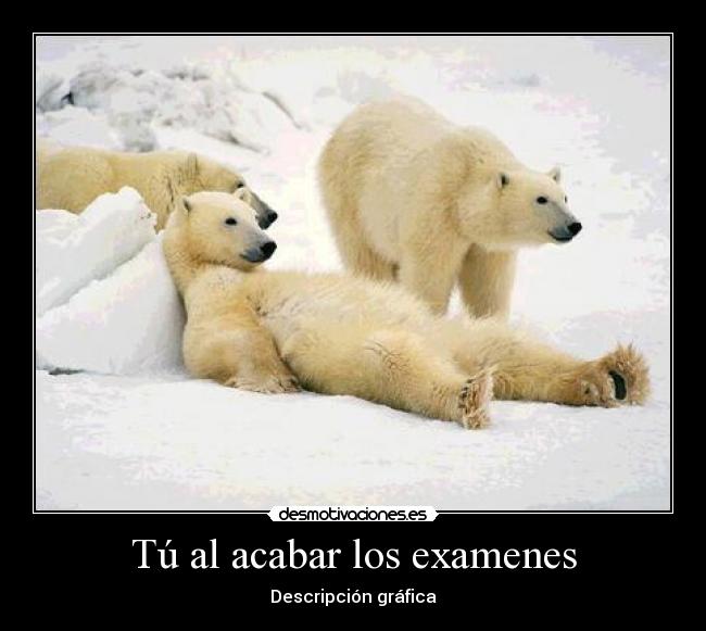 Tú al acabar los examenes - 