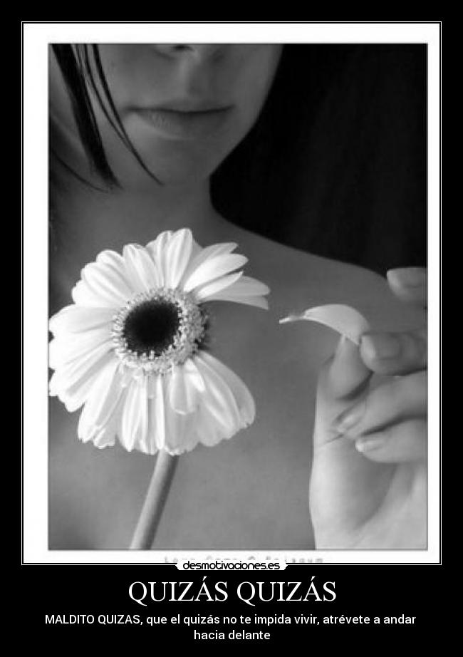 QUIZÁS QUIZÁS - MALDITO QUIZAS, que el quizás no te impida vivir, atrévete a andar hacia delante