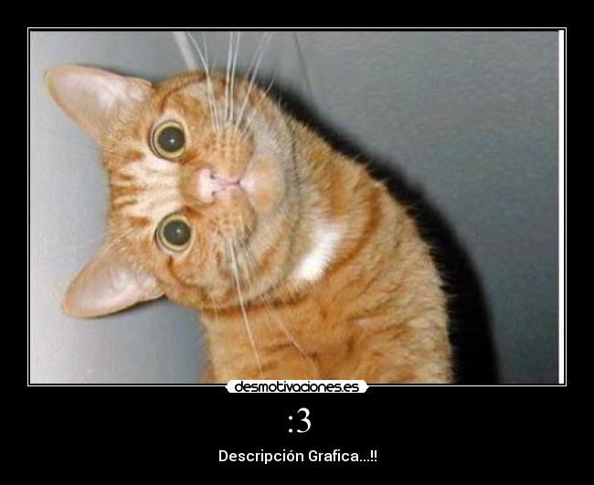 :3 - Descripción Grafica...!!