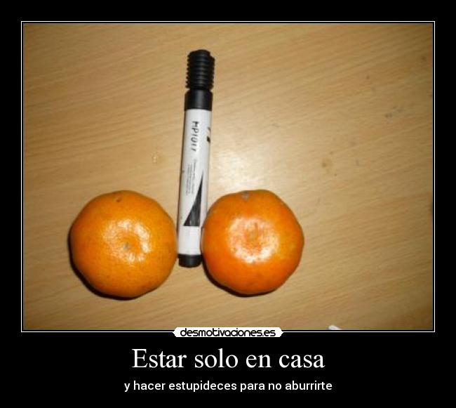 Estar solo en casa -