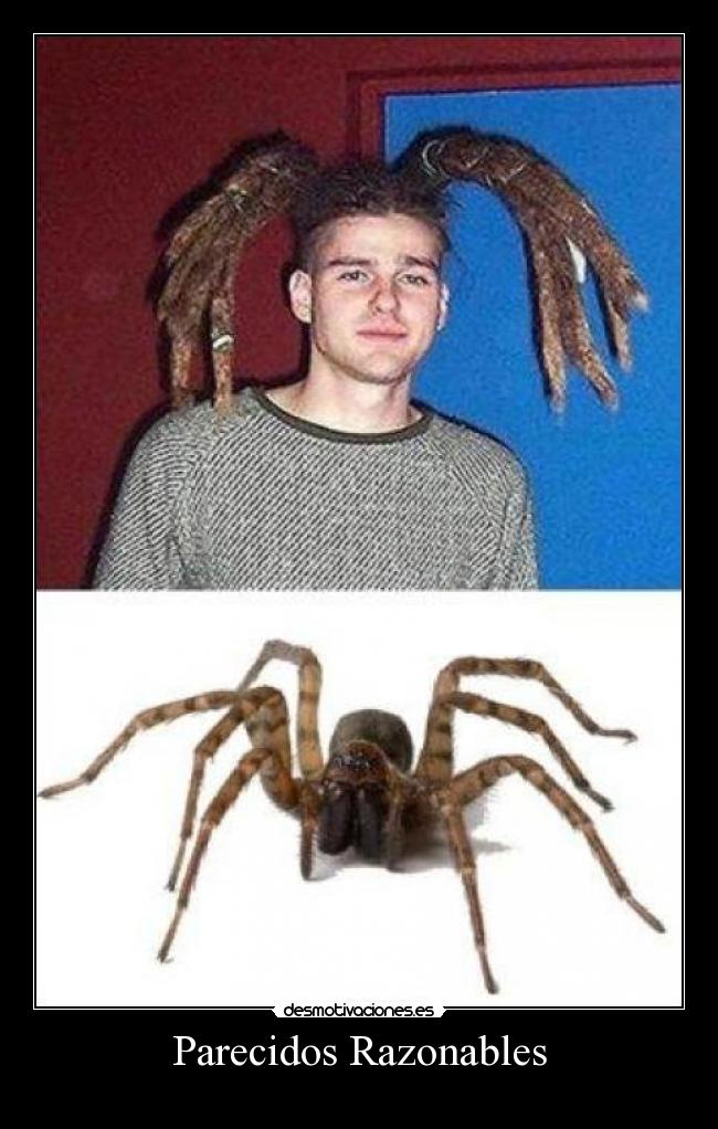 Parecidos Razonables - 