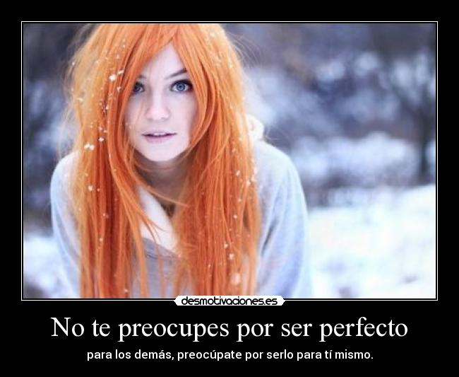 carteles perfeccion existe desmotivaciones