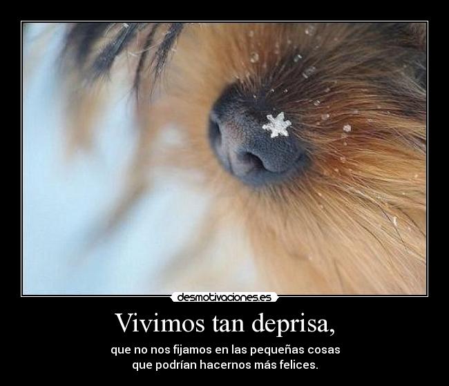 Vivimos tan deprisa, - 