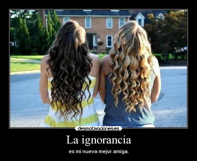 carteles ignorancia edelweis hoy conocido puto pepe robar familia makoki desmotivaciones