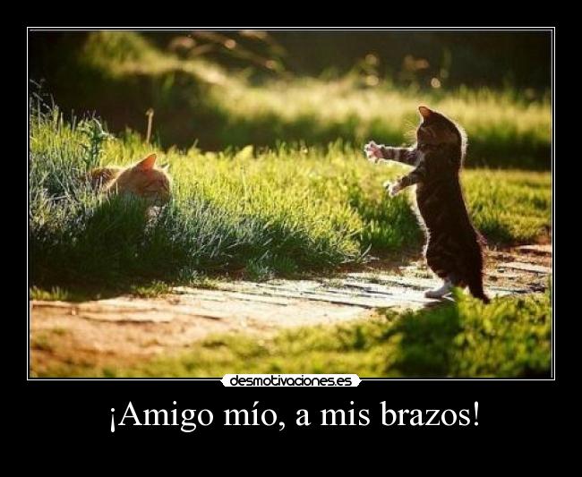 carteles jijijiji desmotivaciones