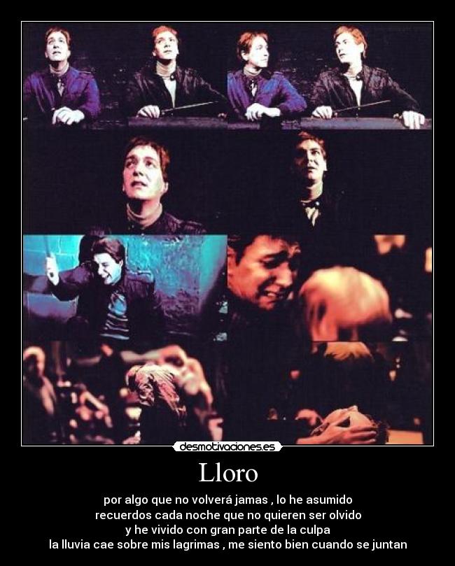 Lloro -