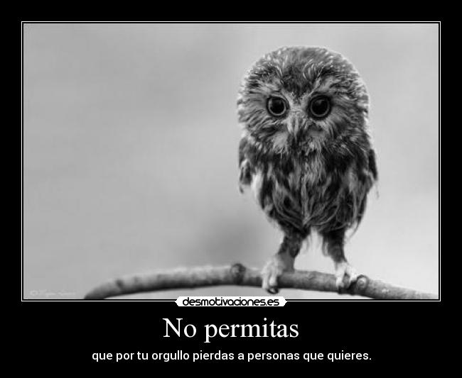 No permitas - que por tu orgullo pierdas a personas que quieres.