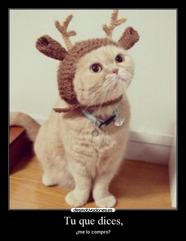 Tu que dices, - ¿me lo compro?