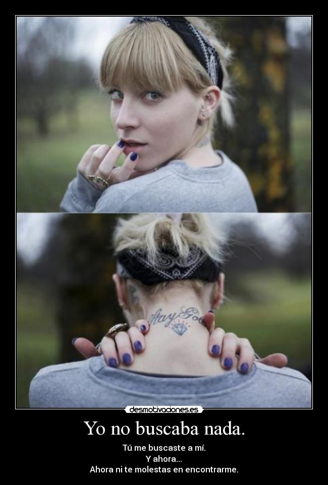 Yo no buscaba nada. -