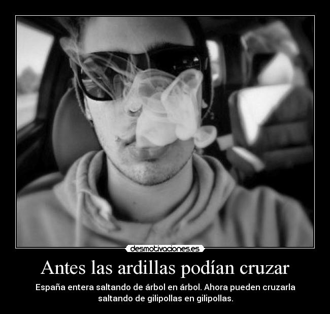 Antes las ardillas podían cruzar - España entera saltando de árbol en árbol. Ahora pueden cruzarla
saltando de gilipollas en gilipollas.