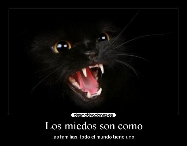 Los miedos son como - las familias, todo el mundo tiene uno.