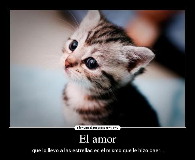 El amor - 