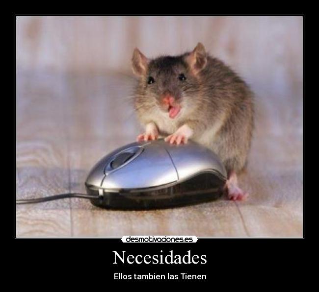Necesidades - 