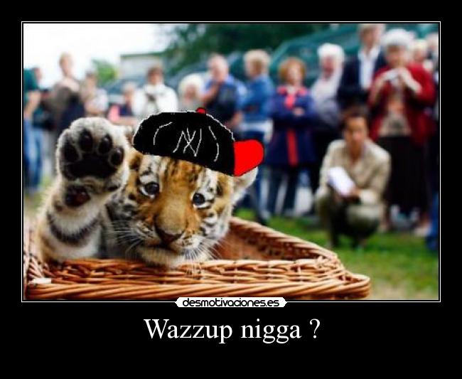 Wazzup nigga ? -
