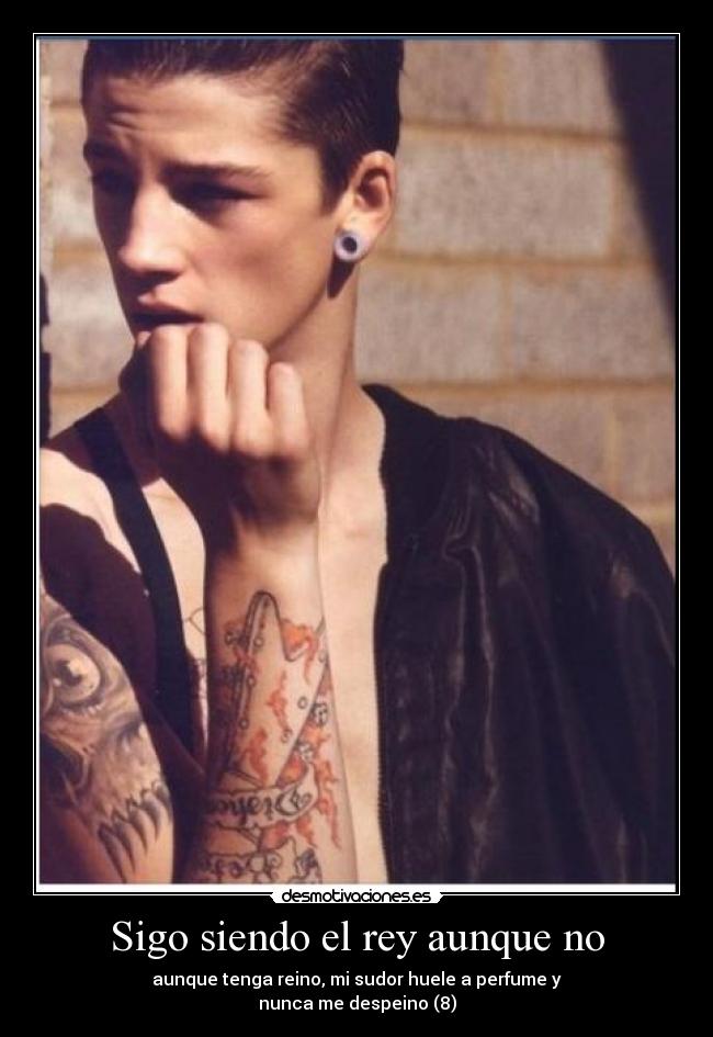 Sigo siendo el rey aunque no - aunque tenga reino, mi sudor huele a perfume y
nunca me despeino (8)