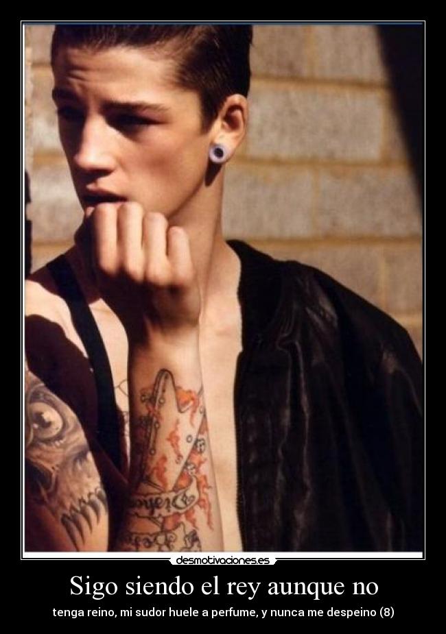 Sigo siendo el rey aunque no - tenga reino, mi sudor huele a perfume, y nunca me despeino (8)