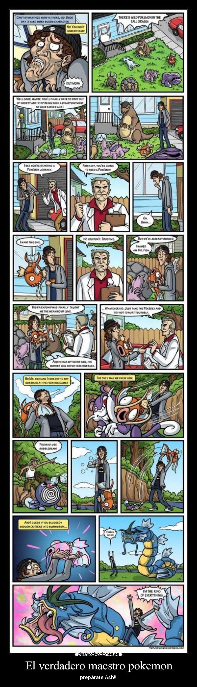 El verdadero maestro pokemon -