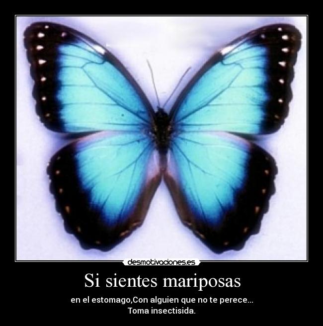 Si sientes mariposas - 