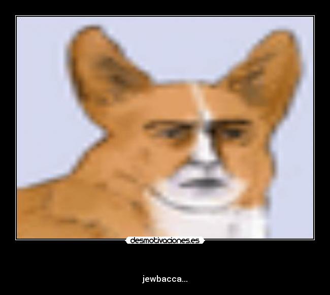 - jewbacca...