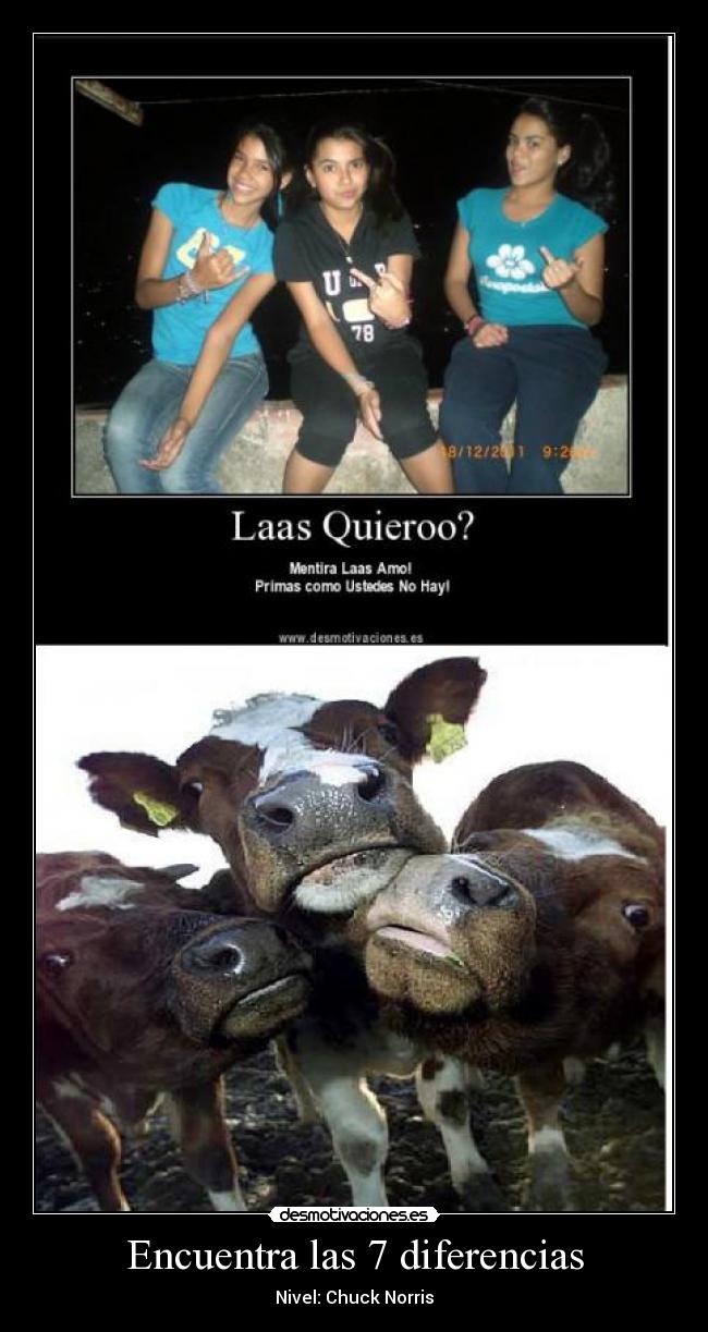 Encuentra las 7 diferencias - Nivel: Chuck Norris