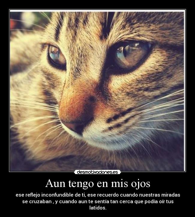 Aun tengo en mis ojos - ese reflejo inconfundible de ti, ese recuerdo cuando nuestras miradas
se cruzaban , y cuando aun te sentía tan cerca que podía oír tus
latidos.
