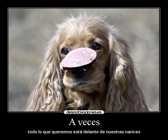 A veces - todo lo que queremos está delante de nuestras narices