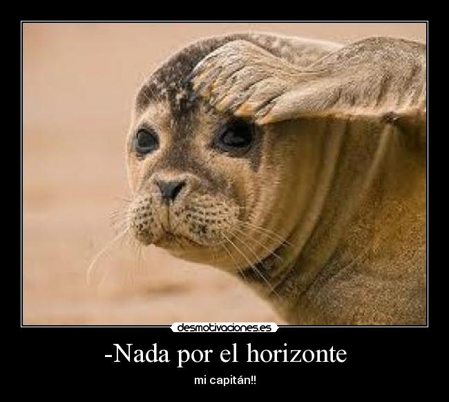 -Nada por el horizonte - mi capitán!!