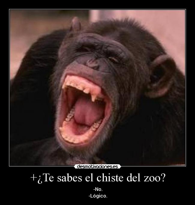 +¿Te sabes el chiste del zoo? - -No.
-Lógico.