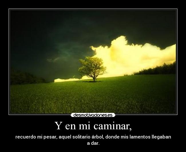 Y en mi caminar, -