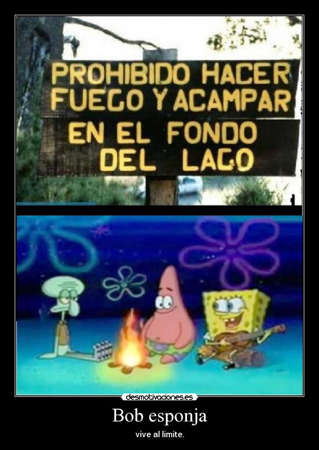 Bob esponja -